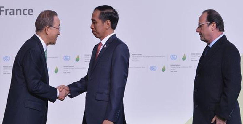 Indonesia Berkomitmen dalam Akselerasi Penggunaan Energi Terbarukan